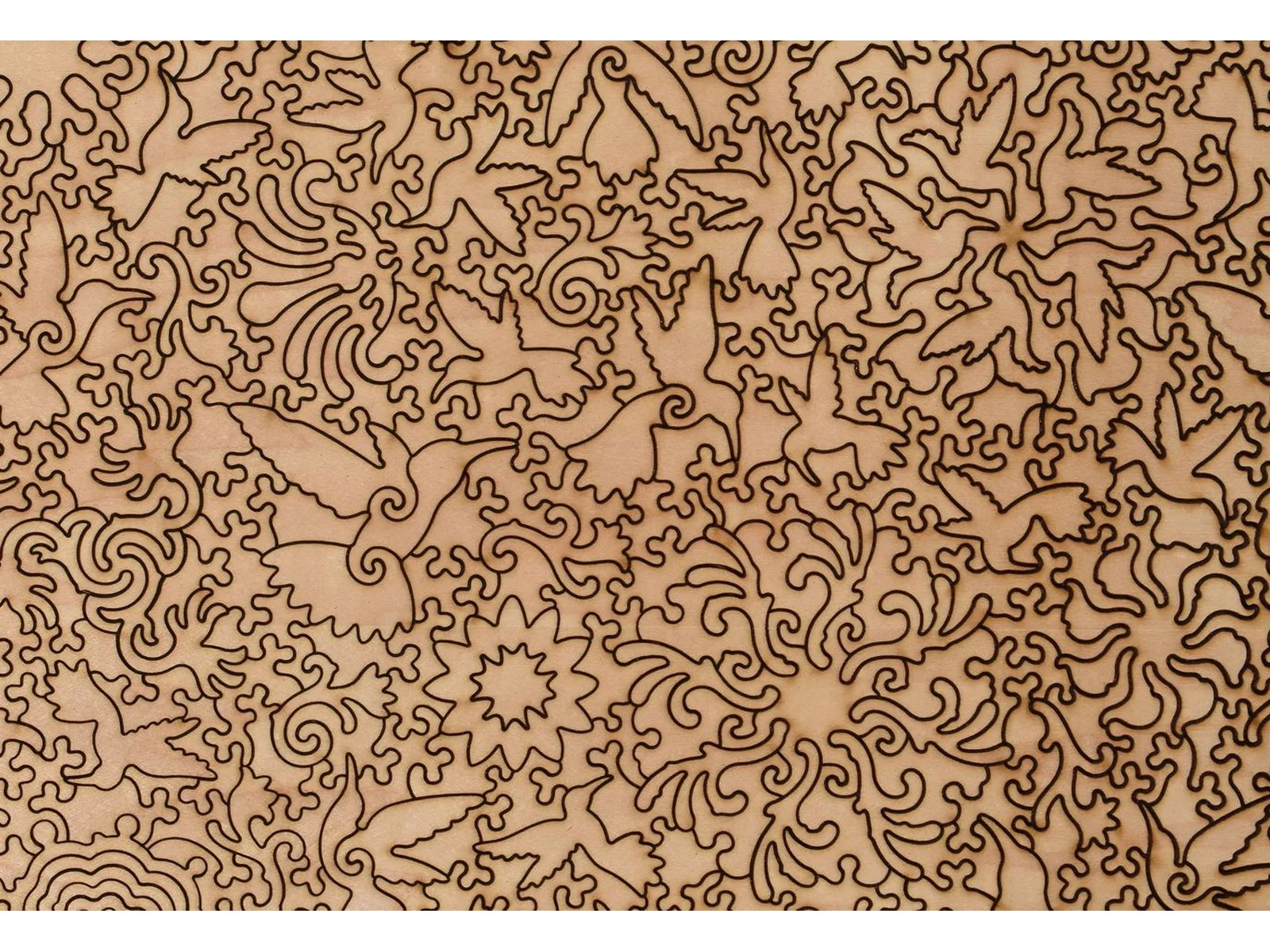 A Charm of Hummingbirds - Image 3