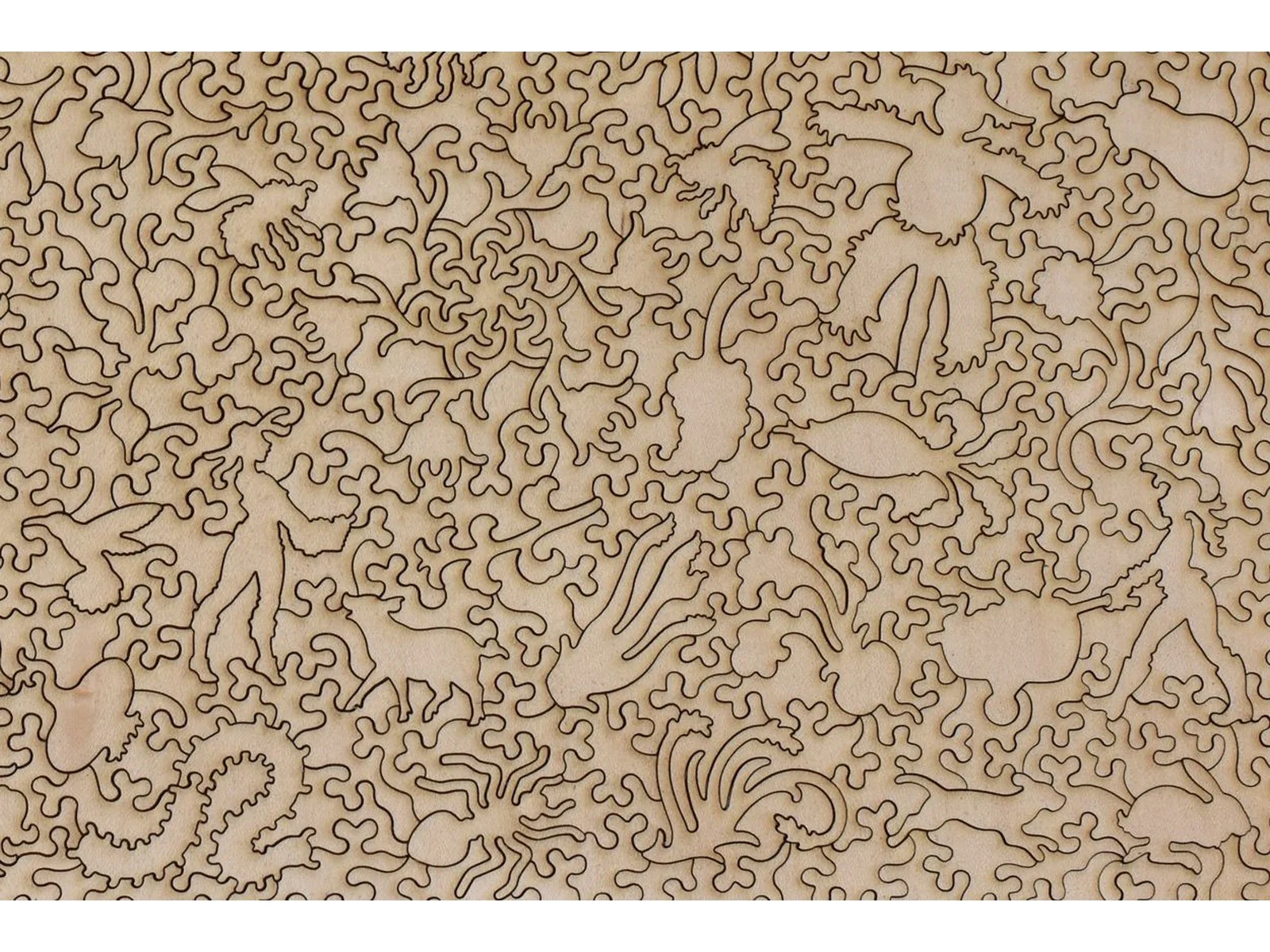 A Cottage Garden with Chickens - Image 3