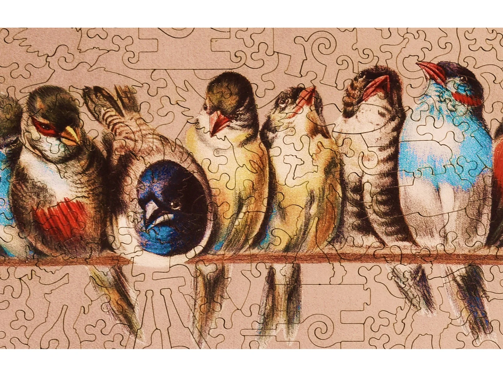 A Perch of Birds - Image 2