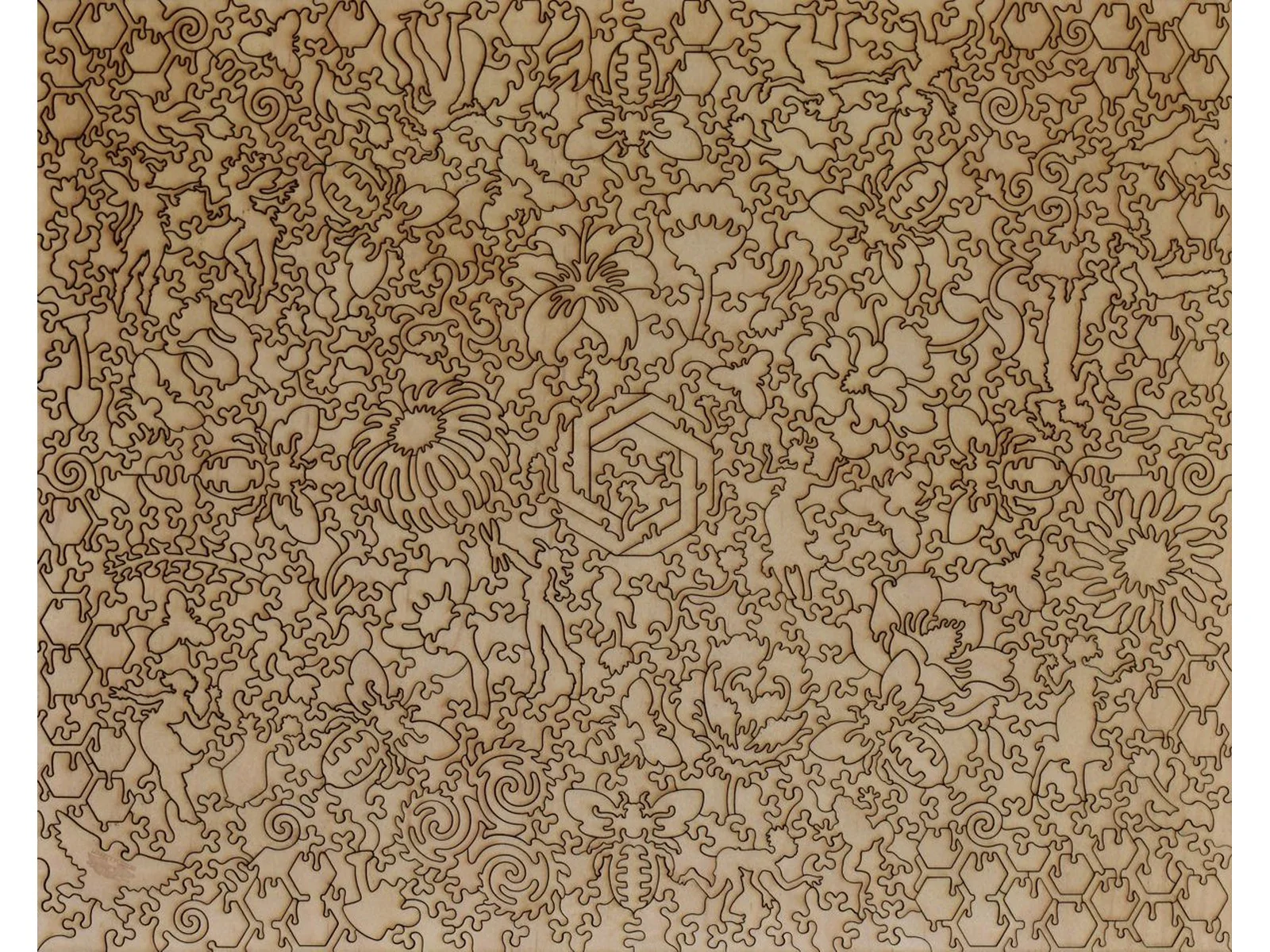 Abundance - Image 3