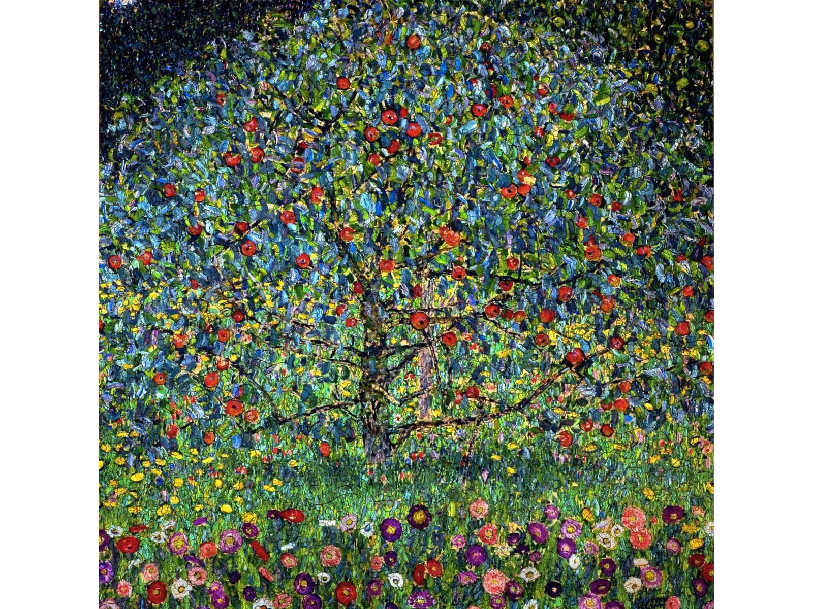Apple Tree