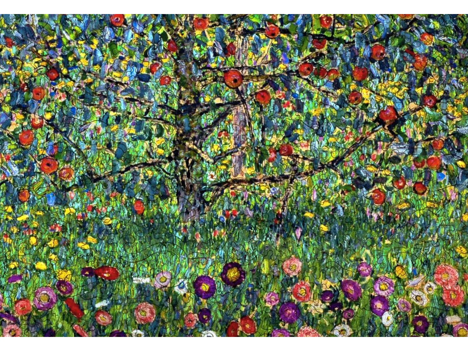 Apple Tree - Image 2