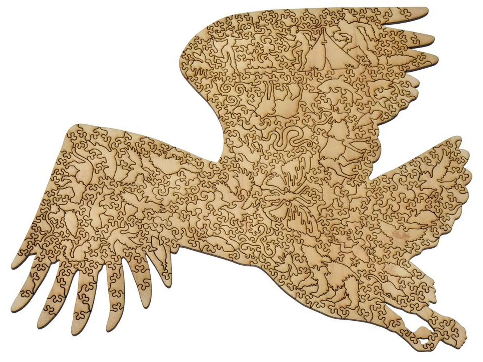 Bald Eagle - Image 3