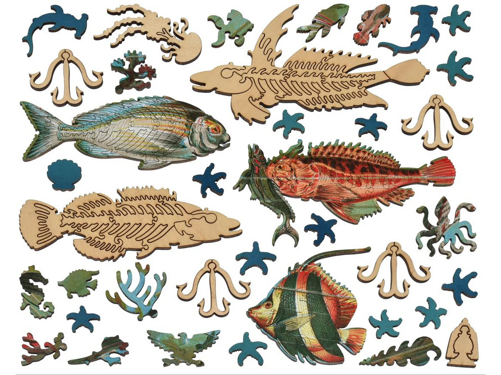 Beautiful Fishes of the Deep - Image 4