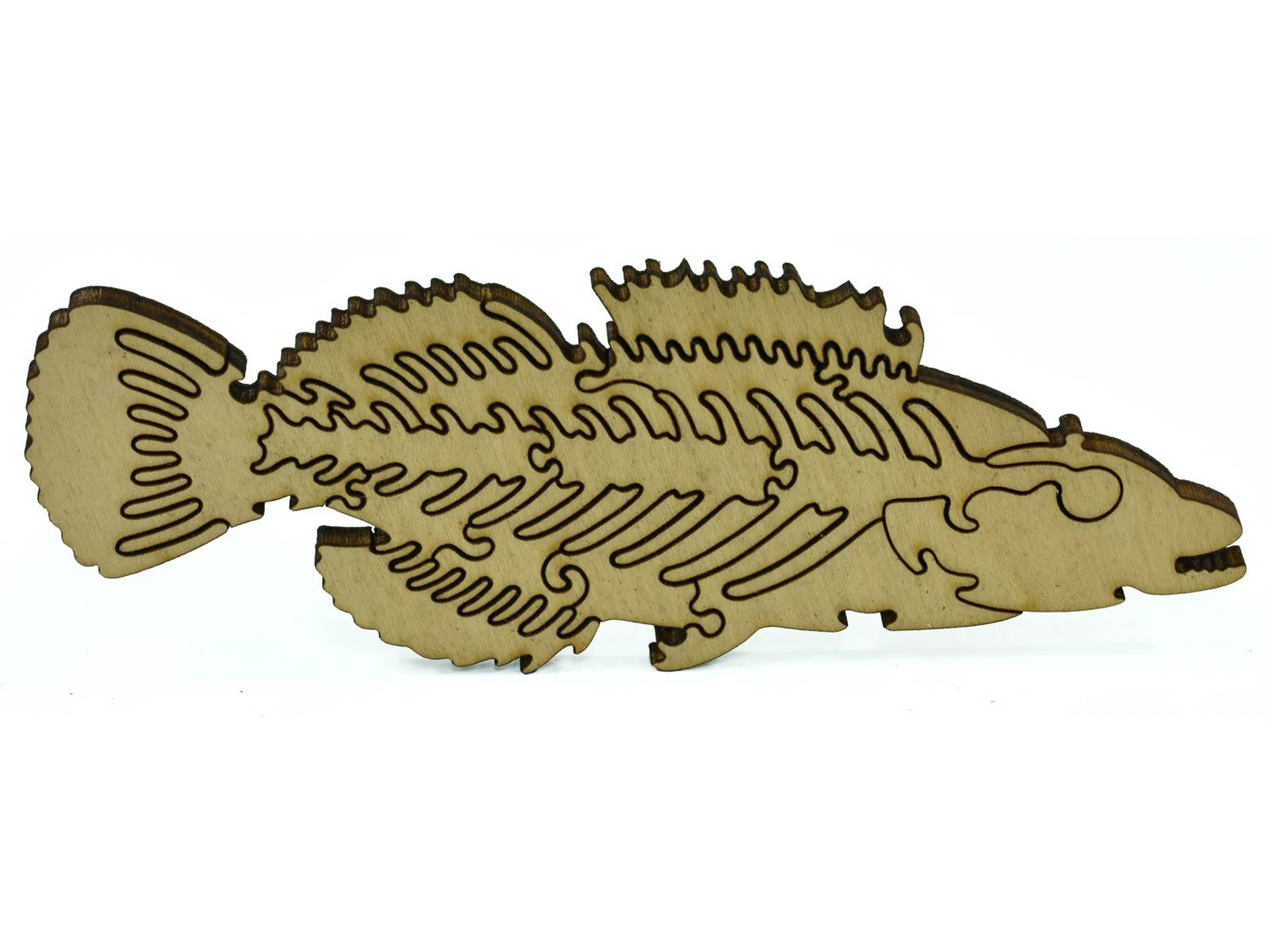 Beautiful Fishes of the Deep - Image 5