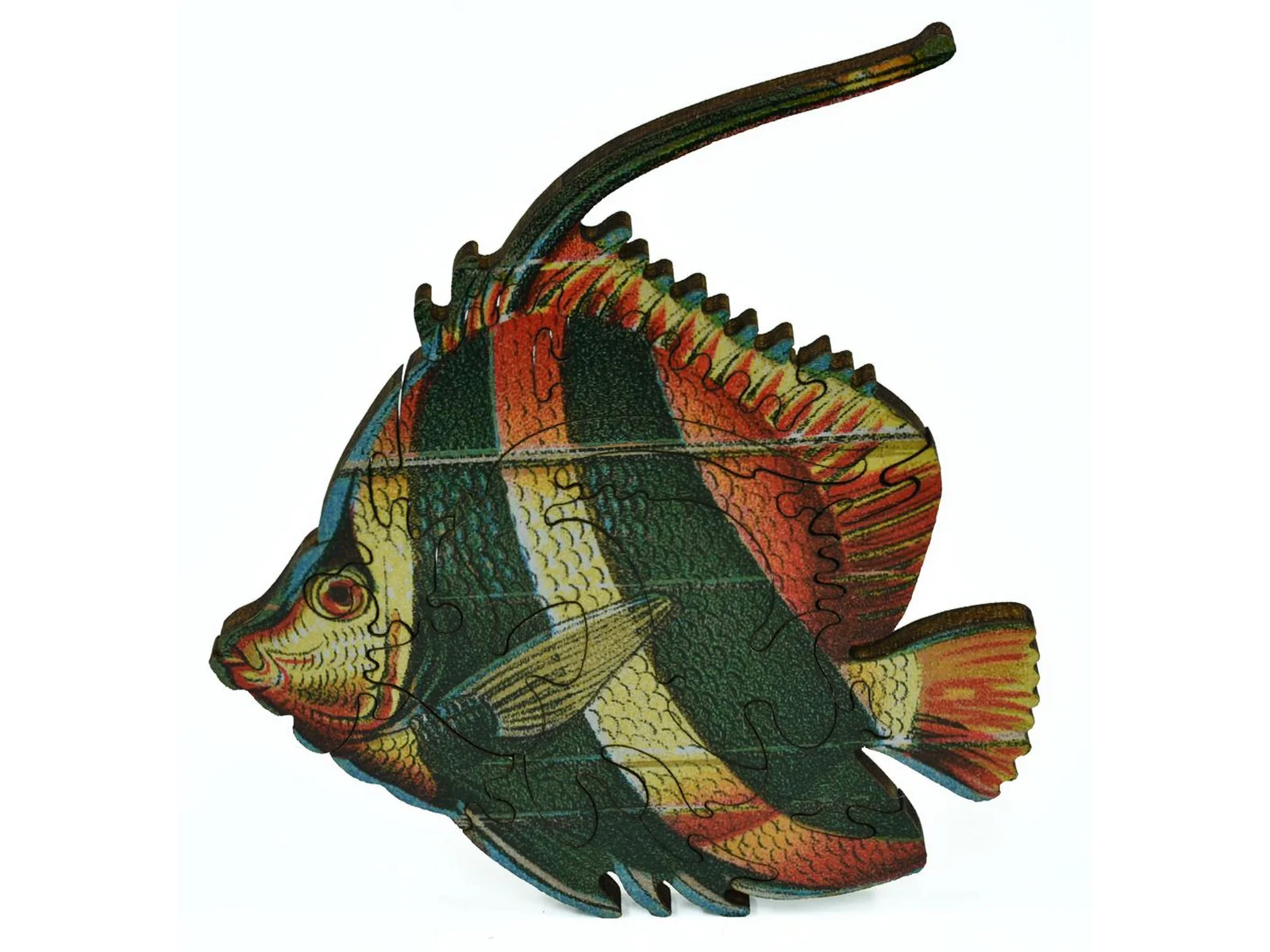 Beautiful Fishes of the Deep - Image 6