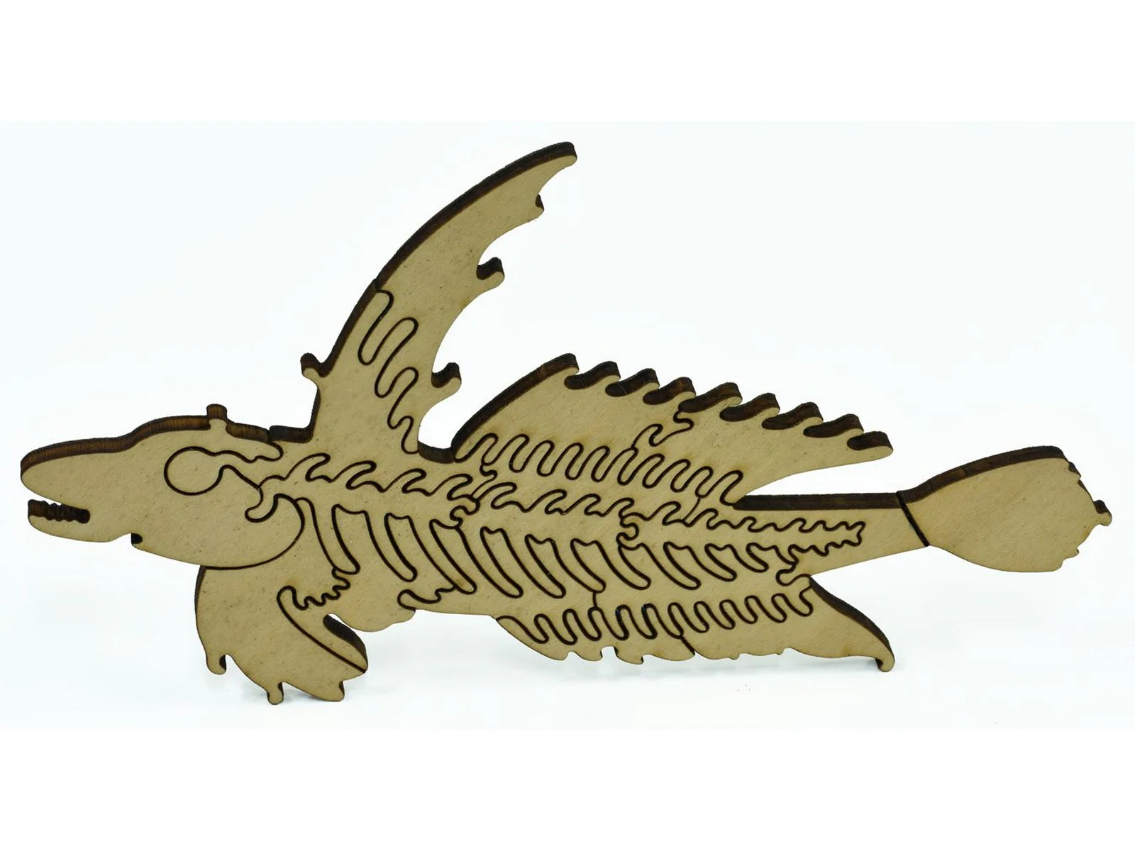 Beautiful Fishes of the Deep - Image 7