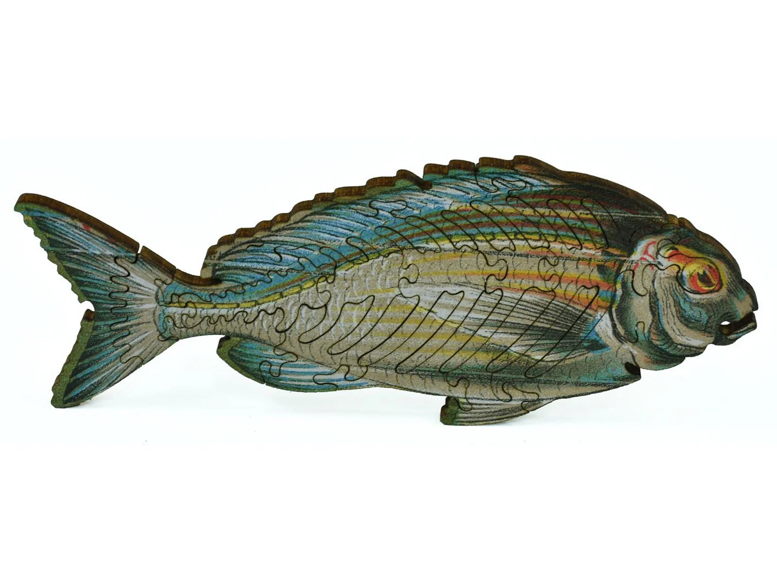Beautiful Fishes of the Deep - Image 8