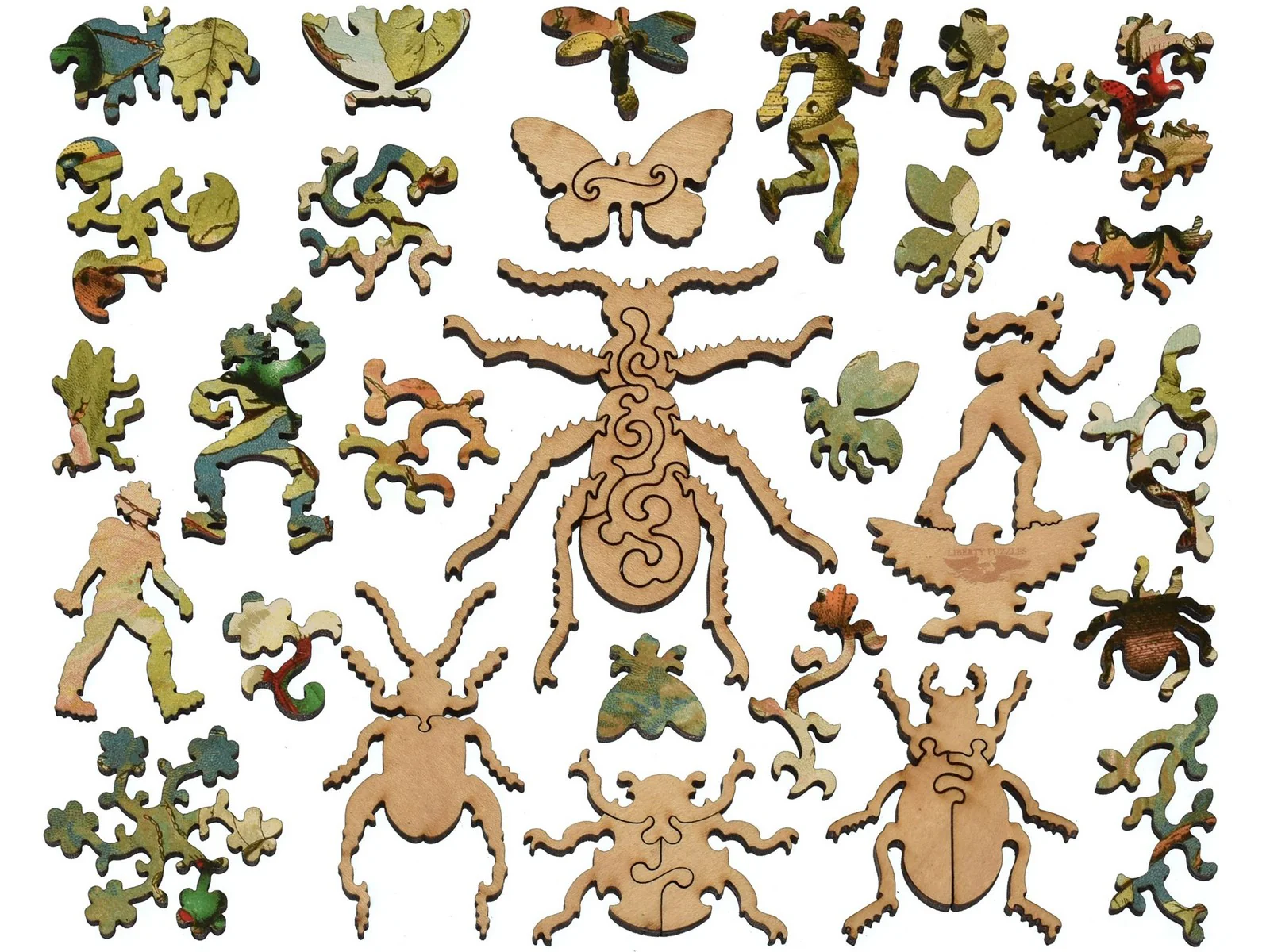 Beetles - Image 4