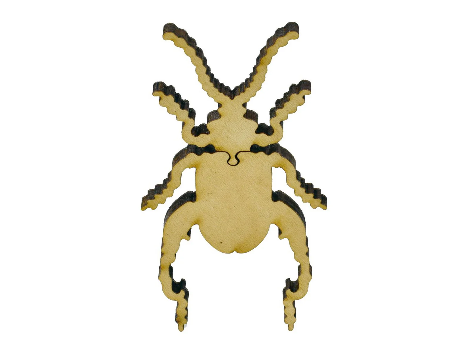 Beetles - Image 5