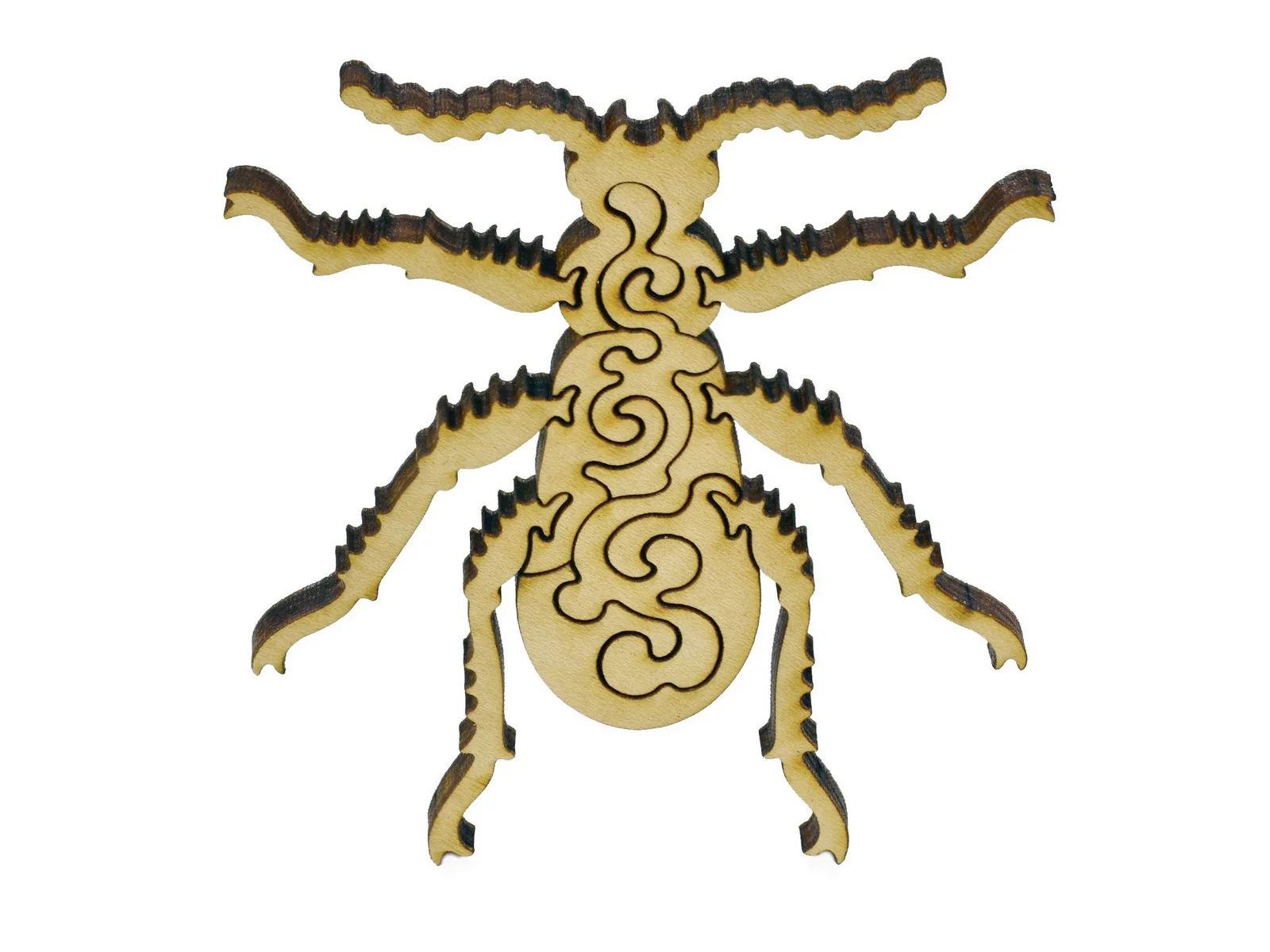 Beetles - Image 6