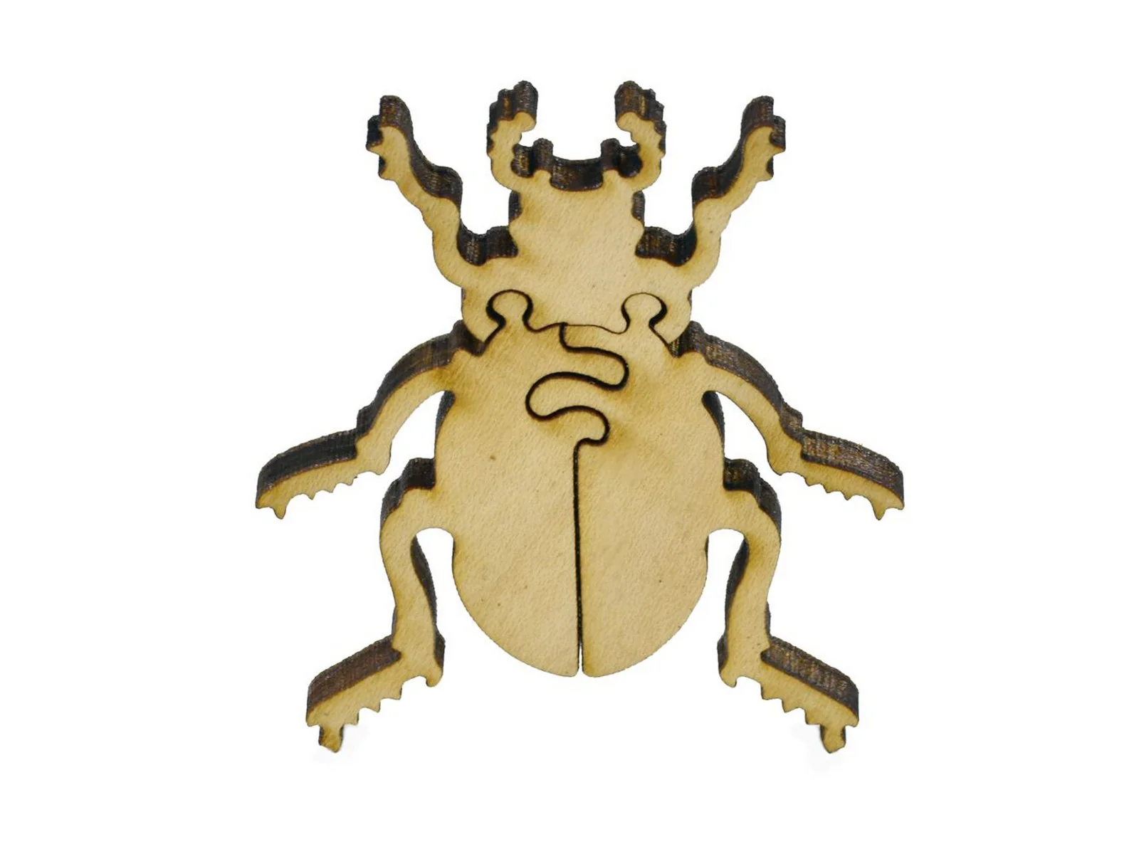 Beetles - Image 7