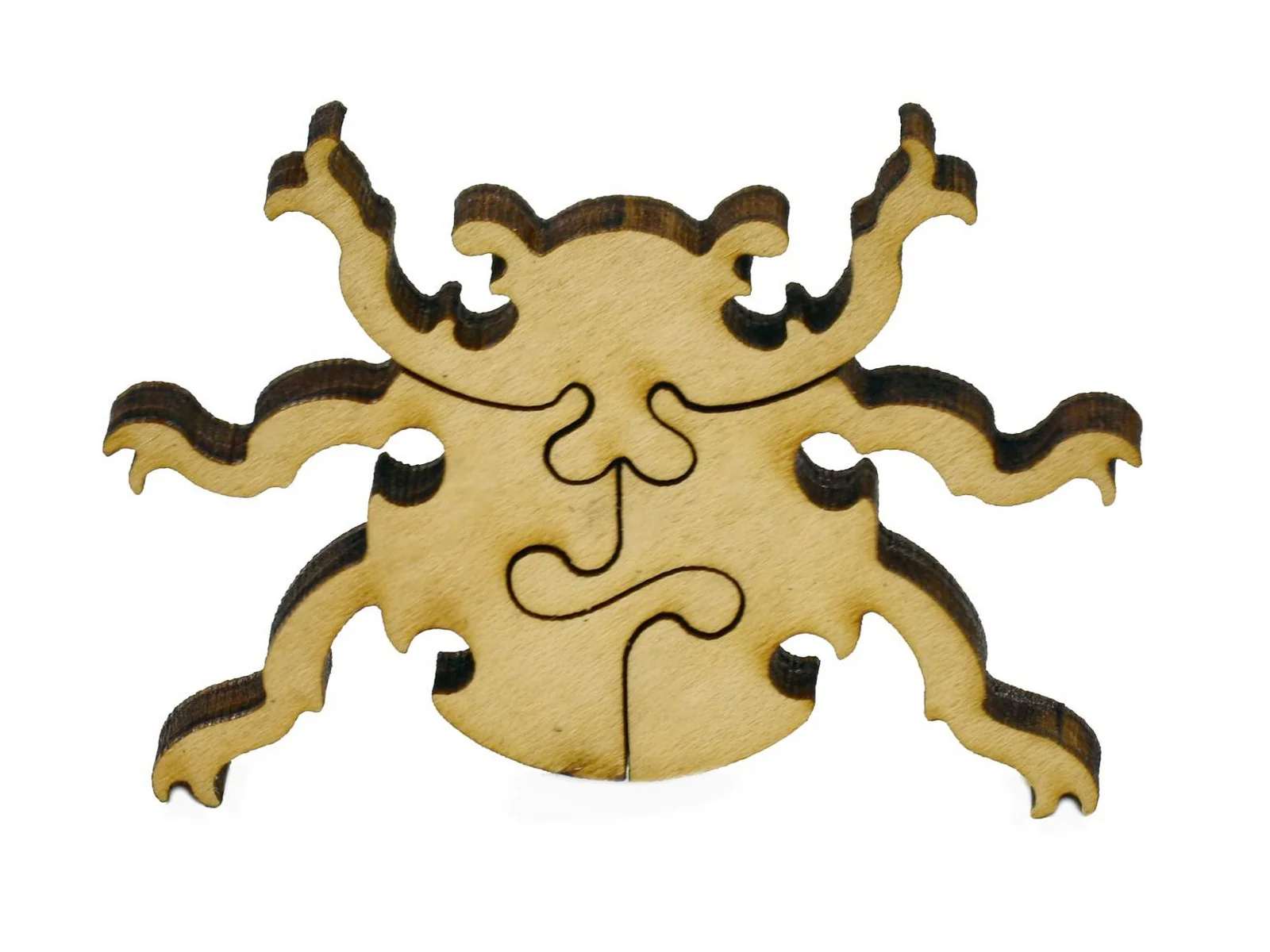 Beetles - Image 8
