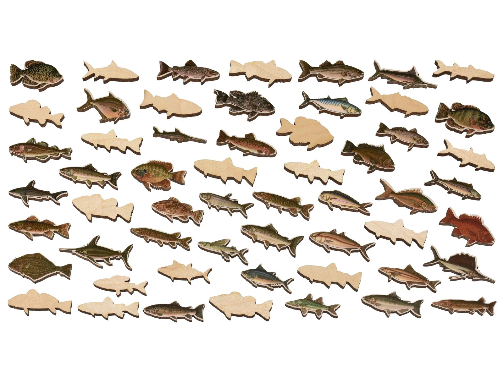 Big Game Fish Map - Image 5