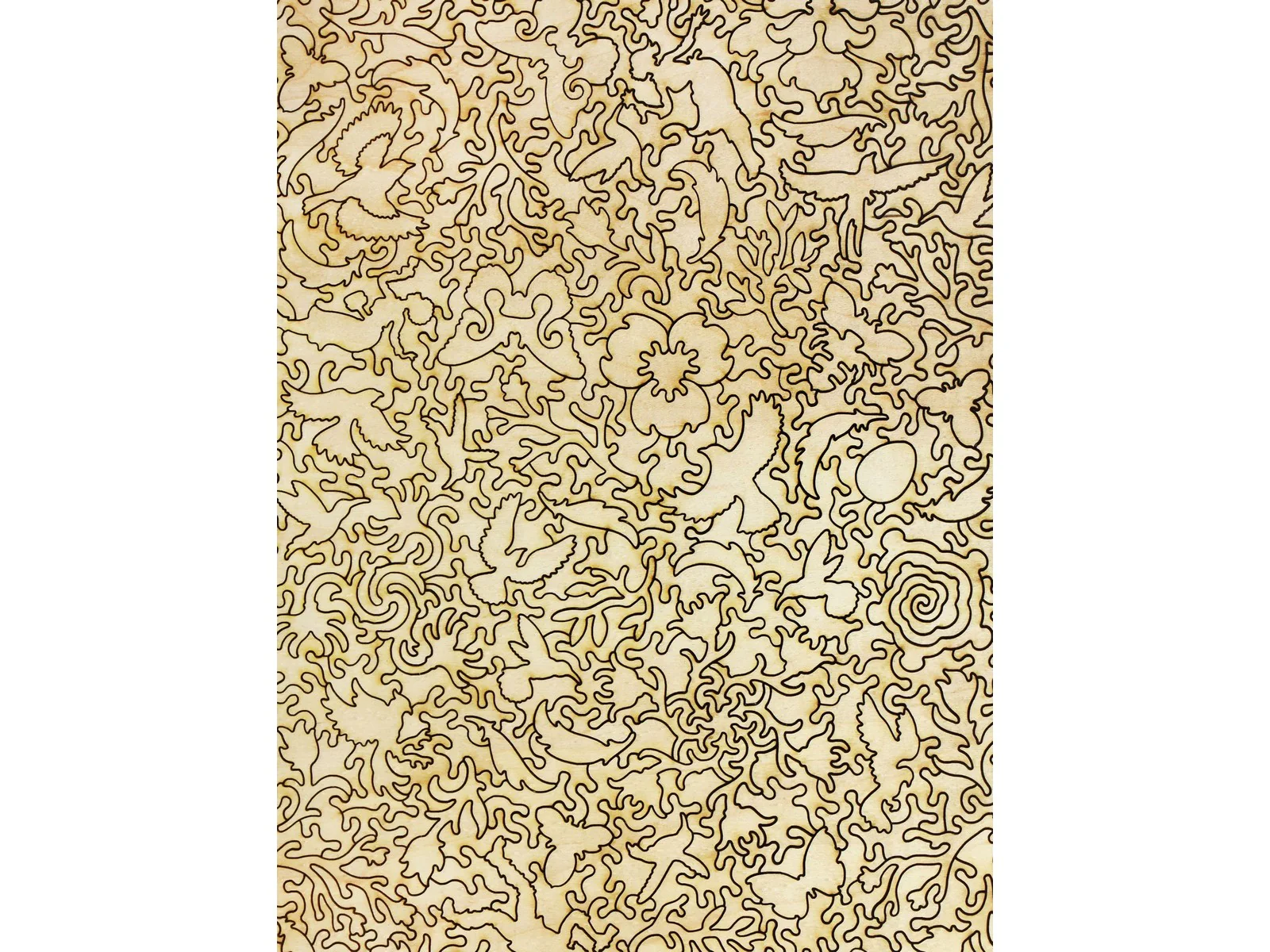 Birds, Flowers and Eggs - Image 3
