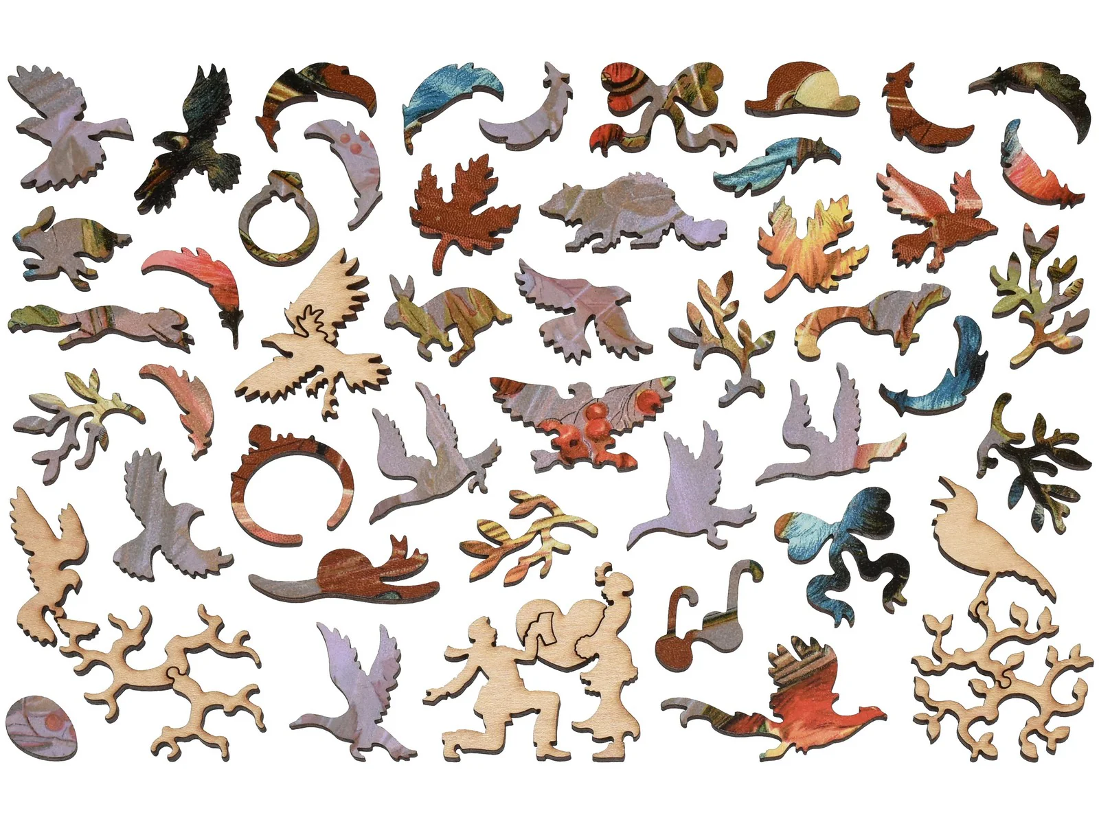 Birds of a Feather - Image 4