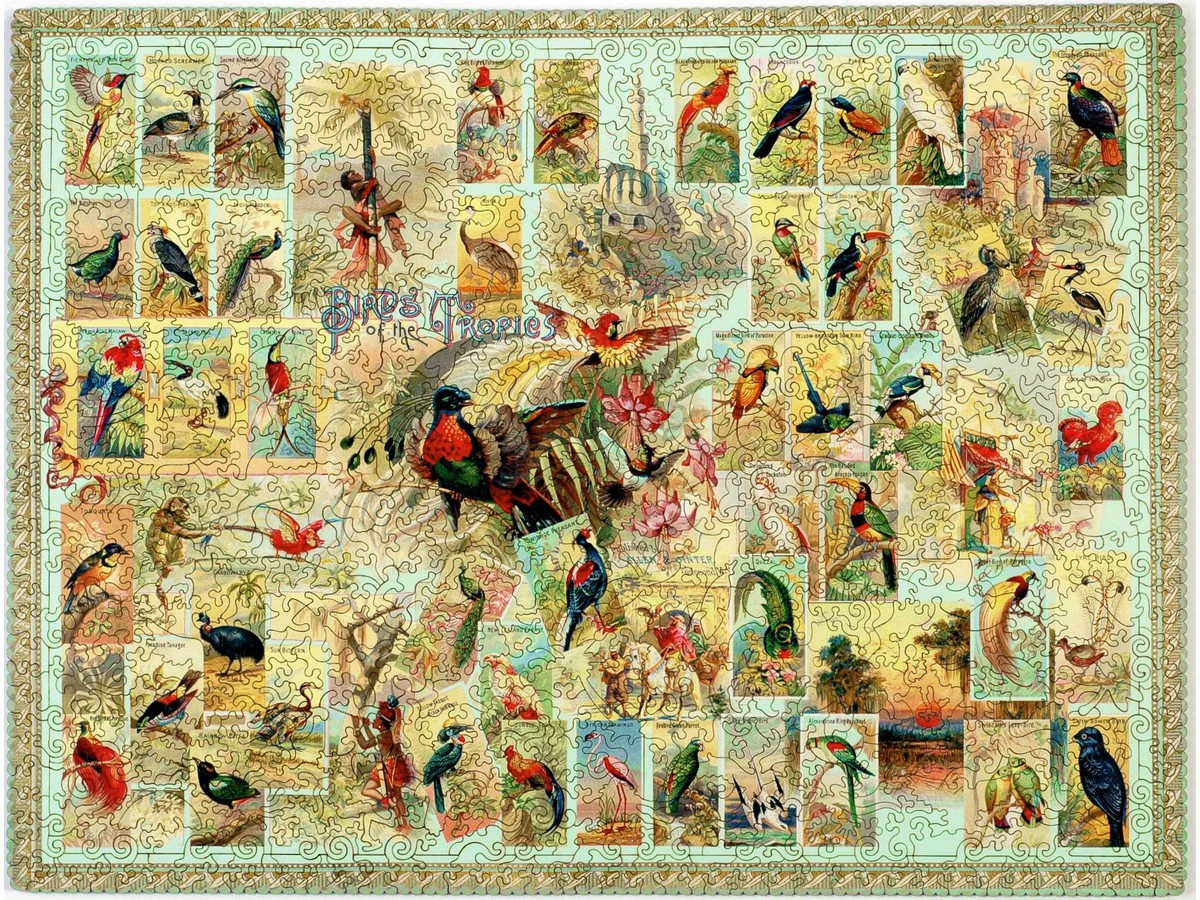Birds of the Tropics