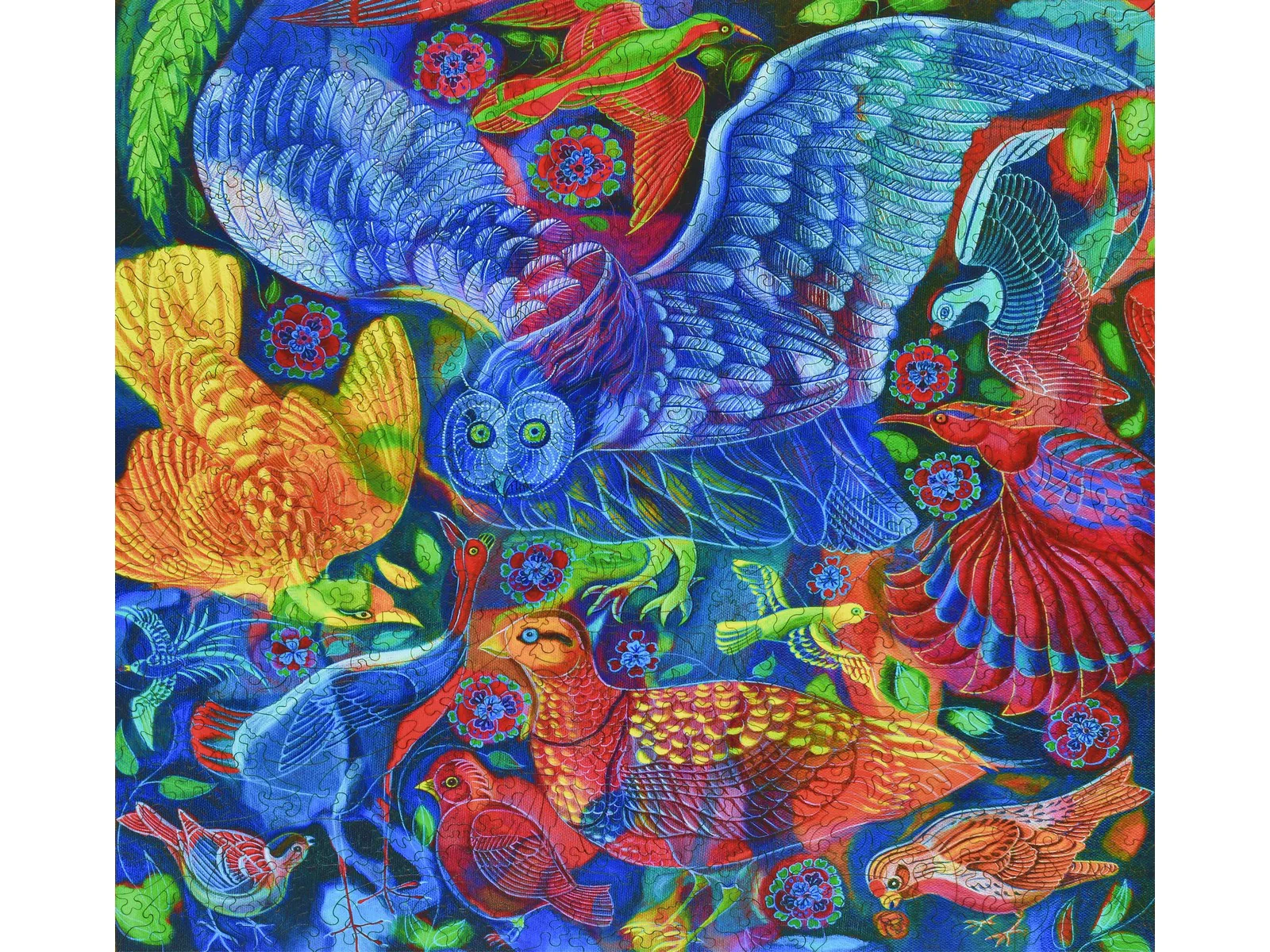 Birds