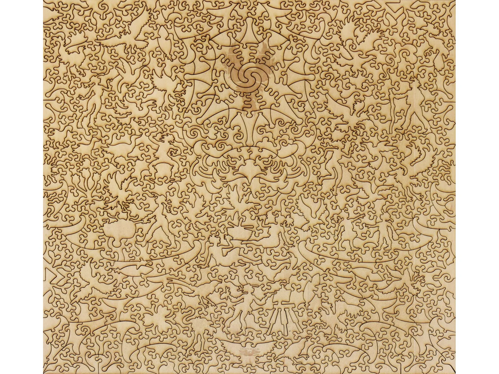 Birds - Image 3