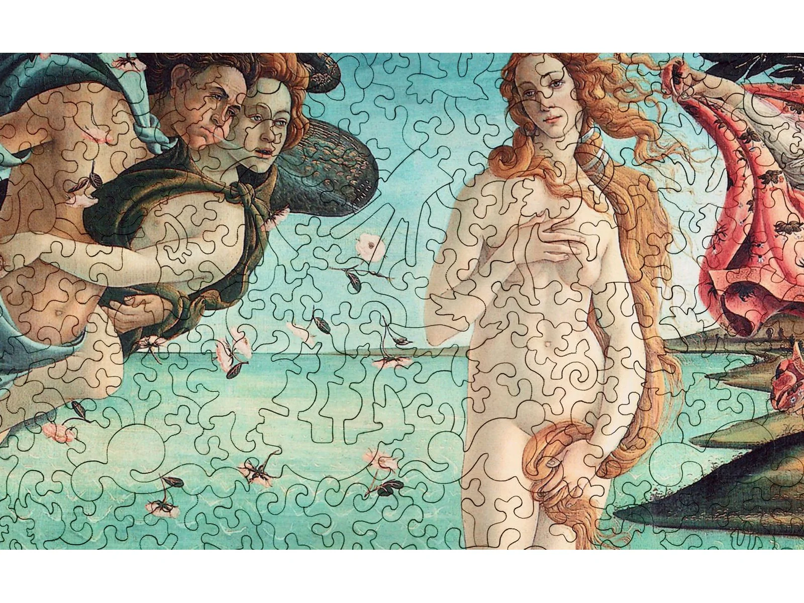 Birth of Venus - Image 2