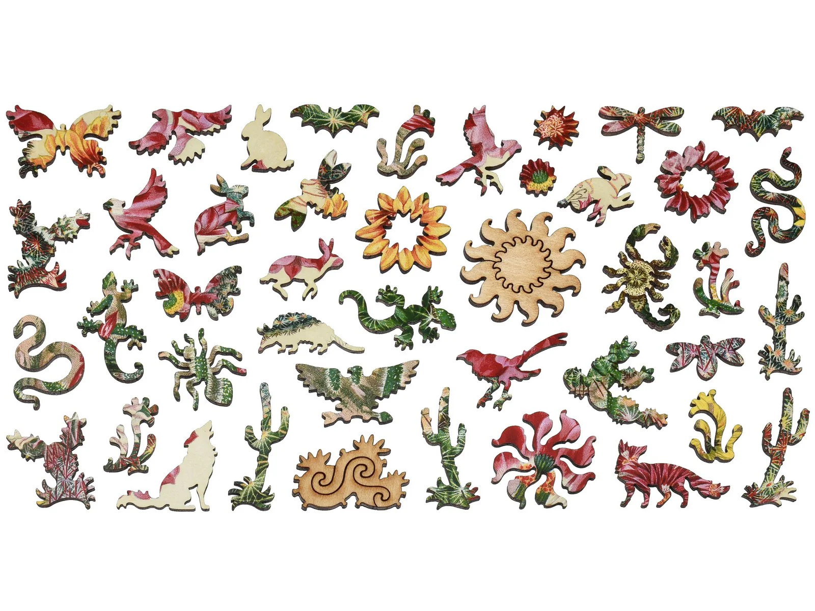 Cactus Flowers - Image 4