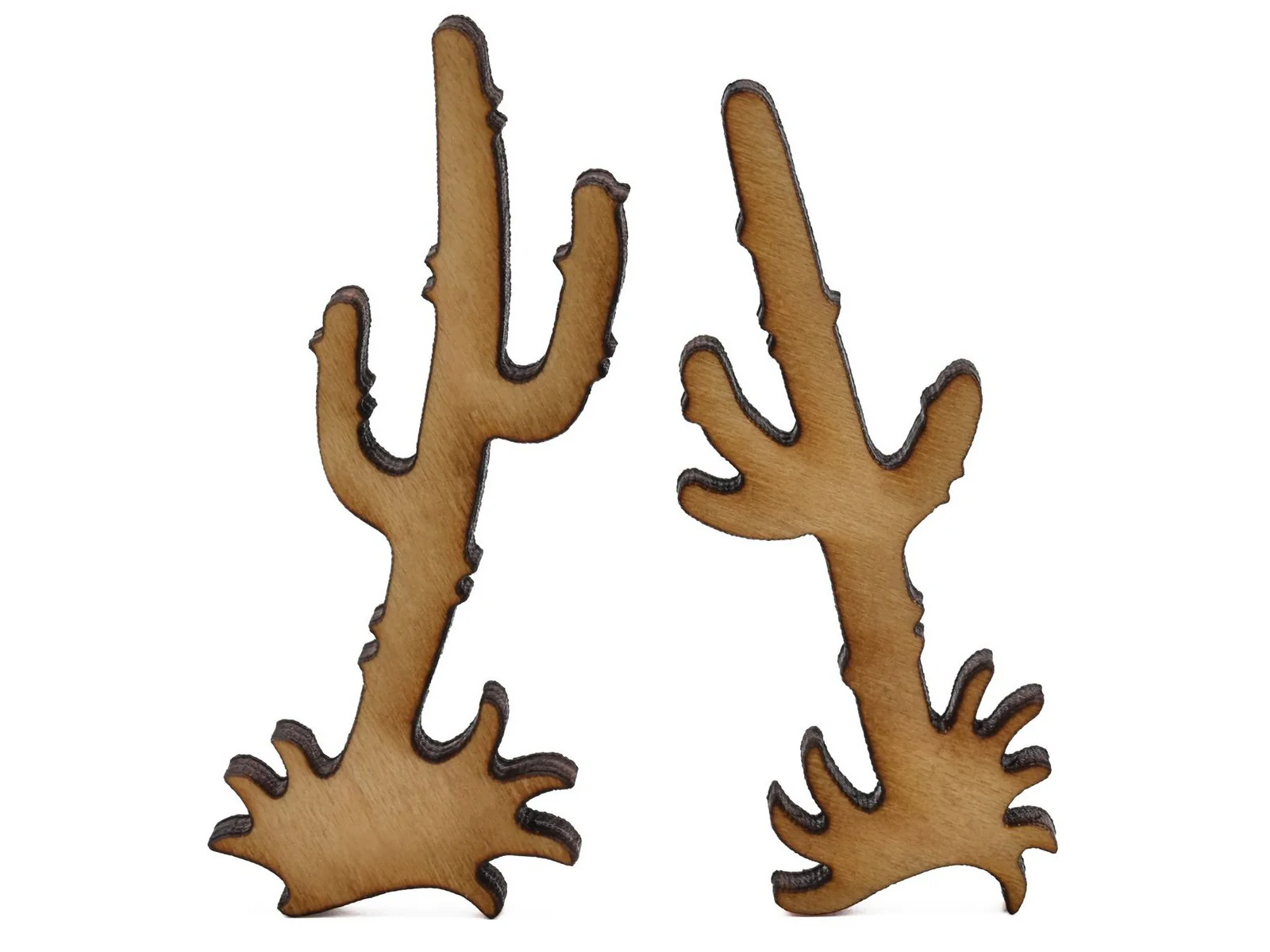 Cactus Flowers - Image 6