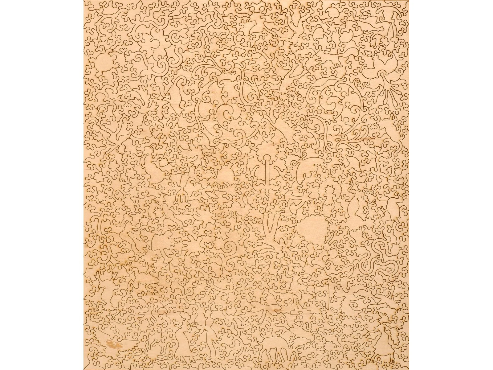 Carnation, Lily, Lily, Rose - Image 3