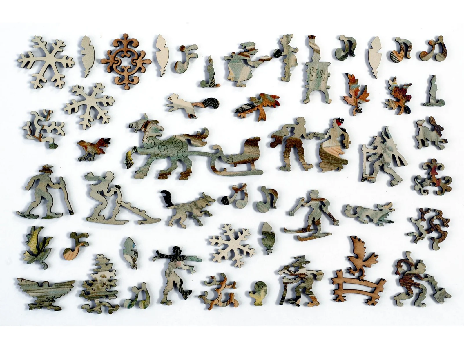 Central European Songbirds - Image 4