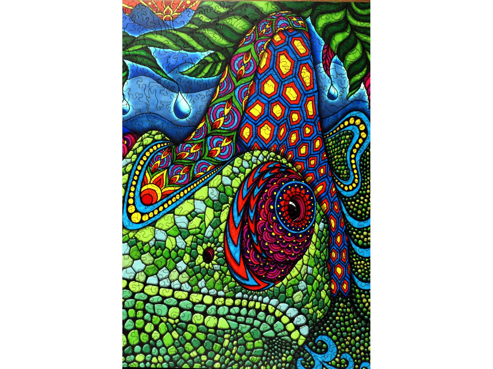 Chameleon - Image 2