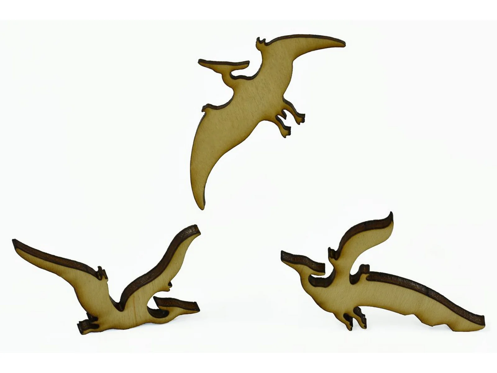 Chasing Butterflies 66 Mya - Image 10
