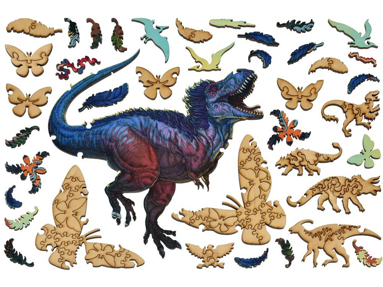 Chasing Butterflies 66 Mya - Image 4
