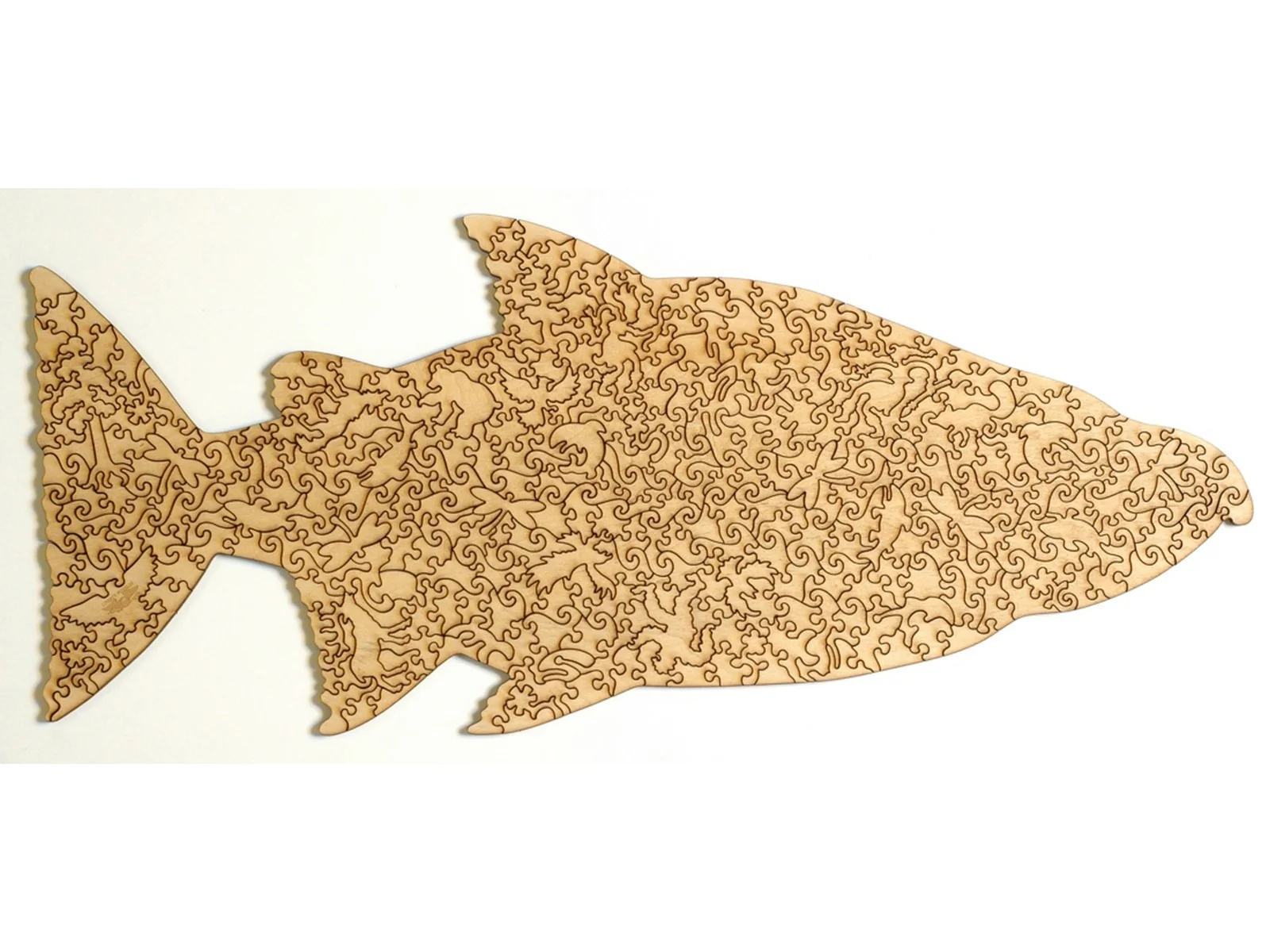 Chinook Salmon - Image 3
