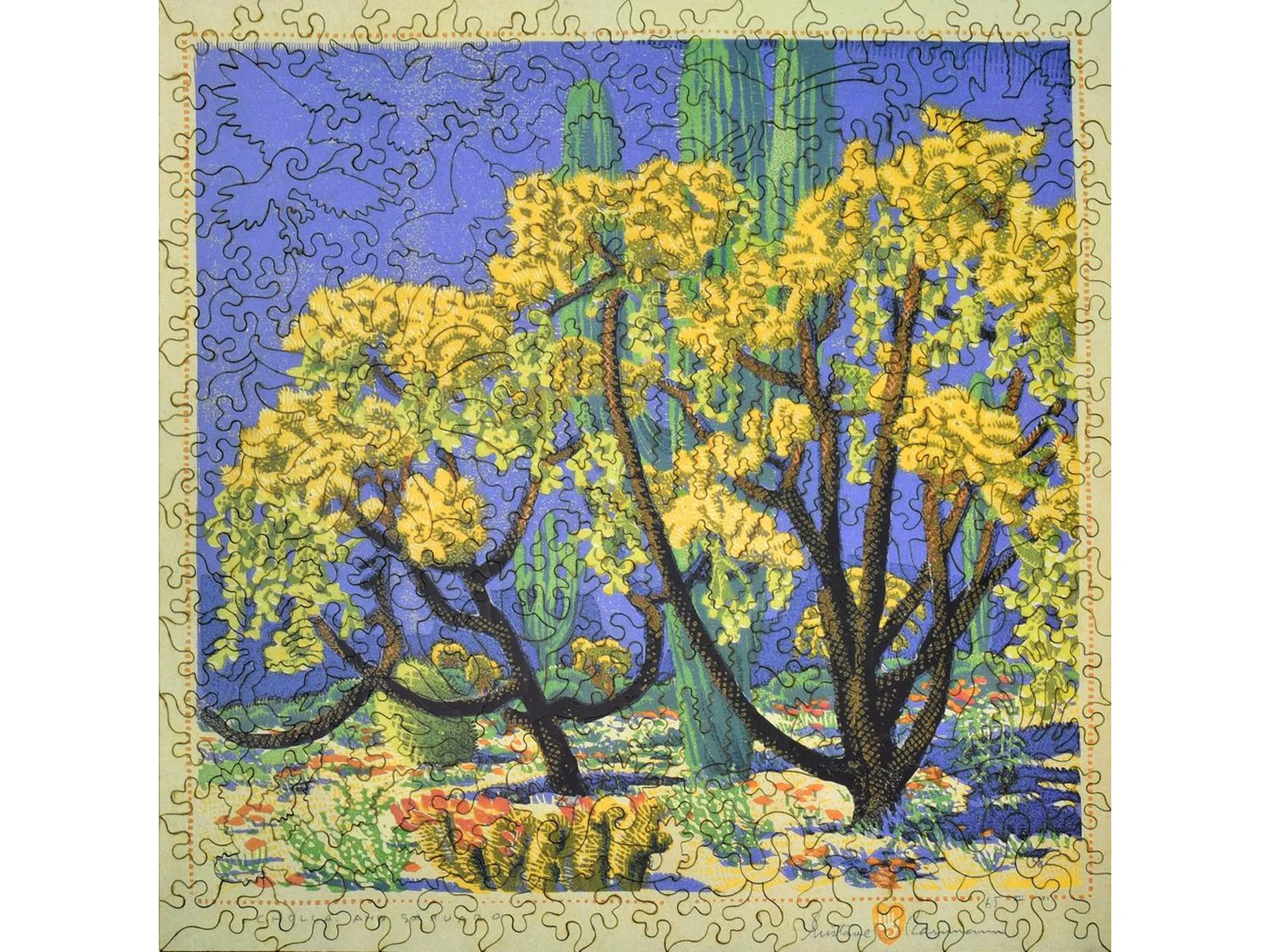 Cholla and Sahuaro