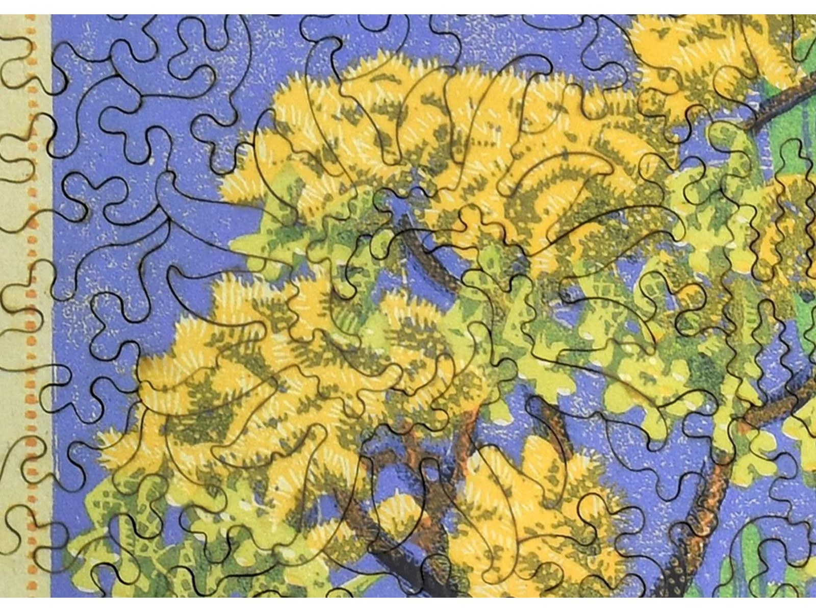 Cholla and Sahuaro - Image 2