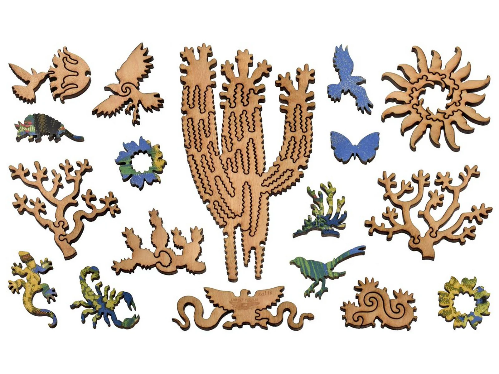Cholla and Sahuaro - Image 5