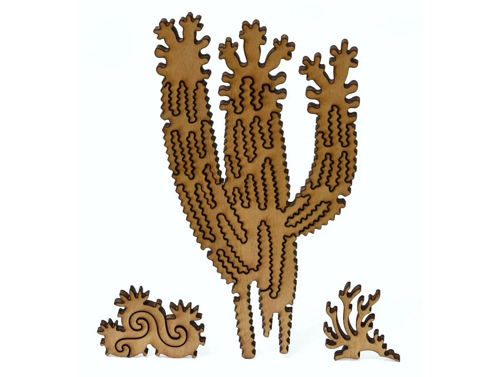 Cholla and Sahuaro - Image 6
