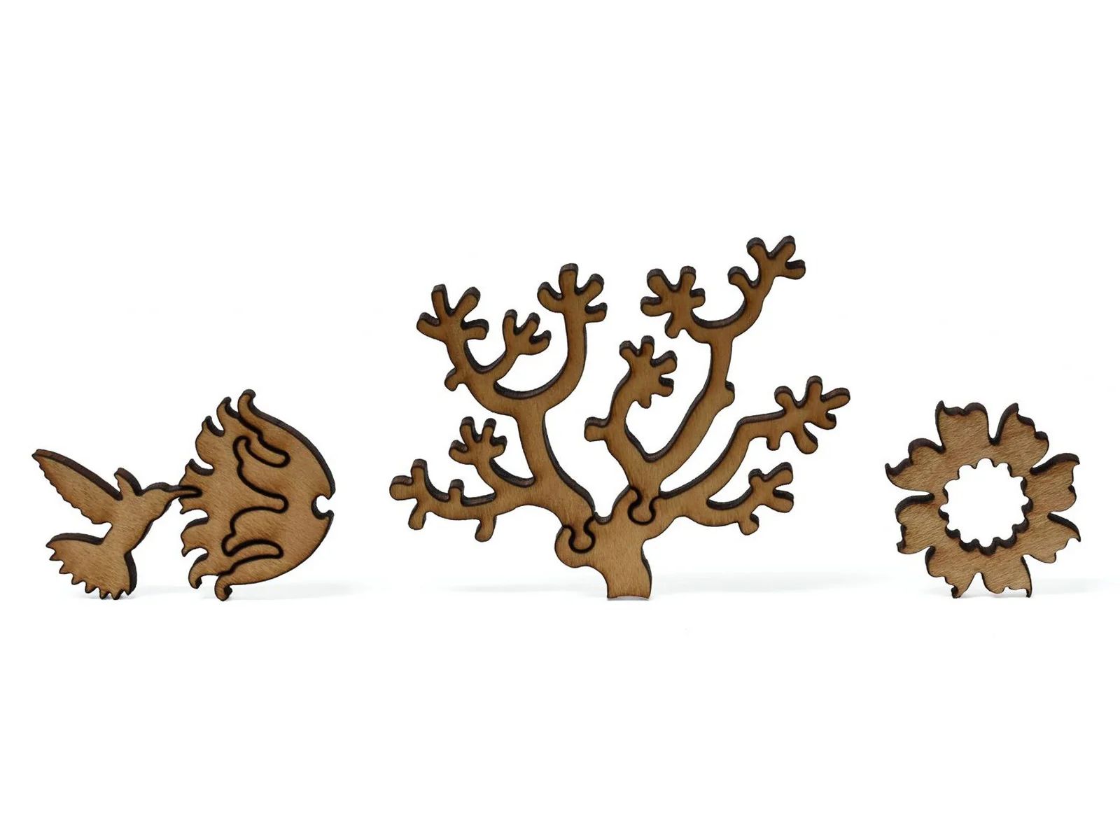 Cholla and Sahuaro - Image 7
