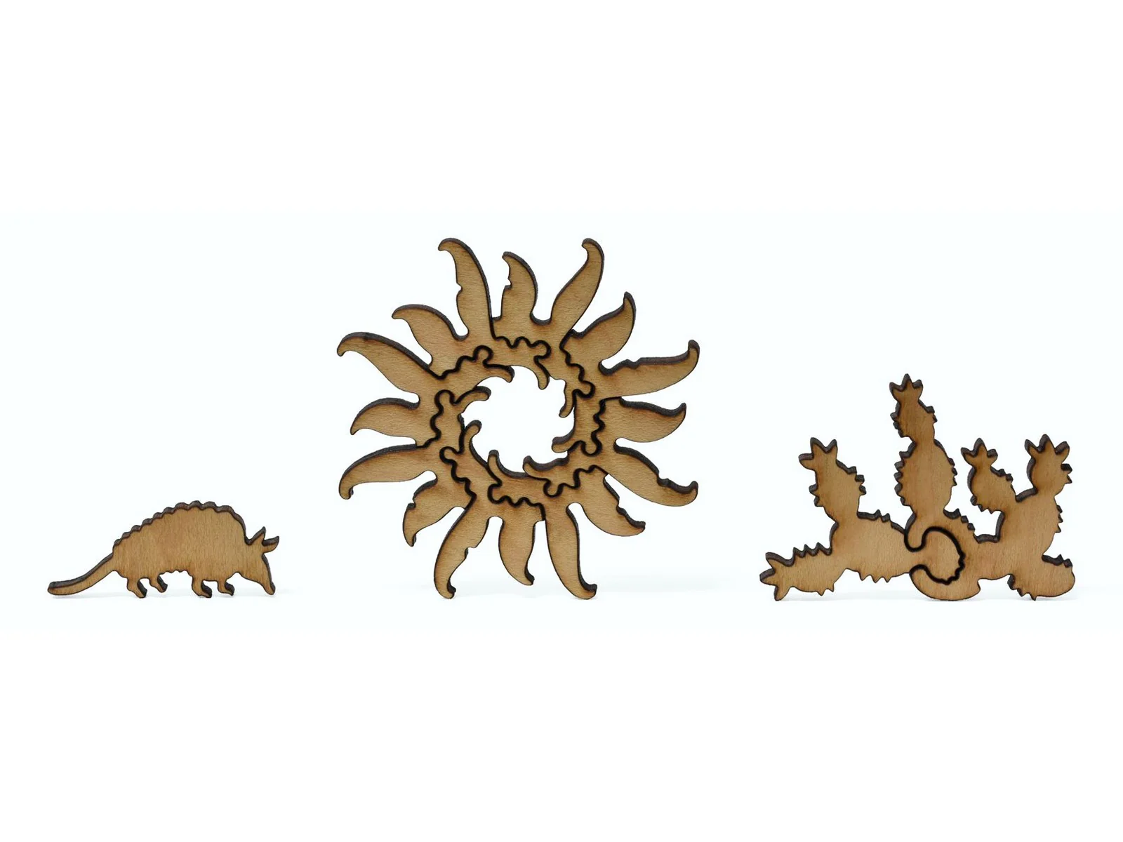 Cholla and Sahuaro - Image 8