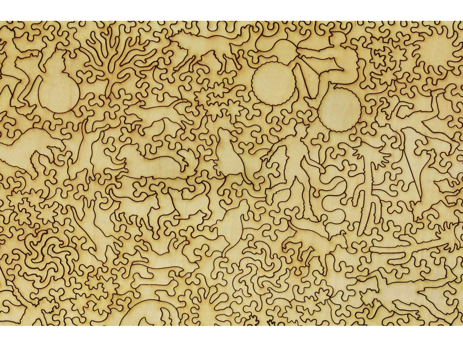 Cooper - Image 3