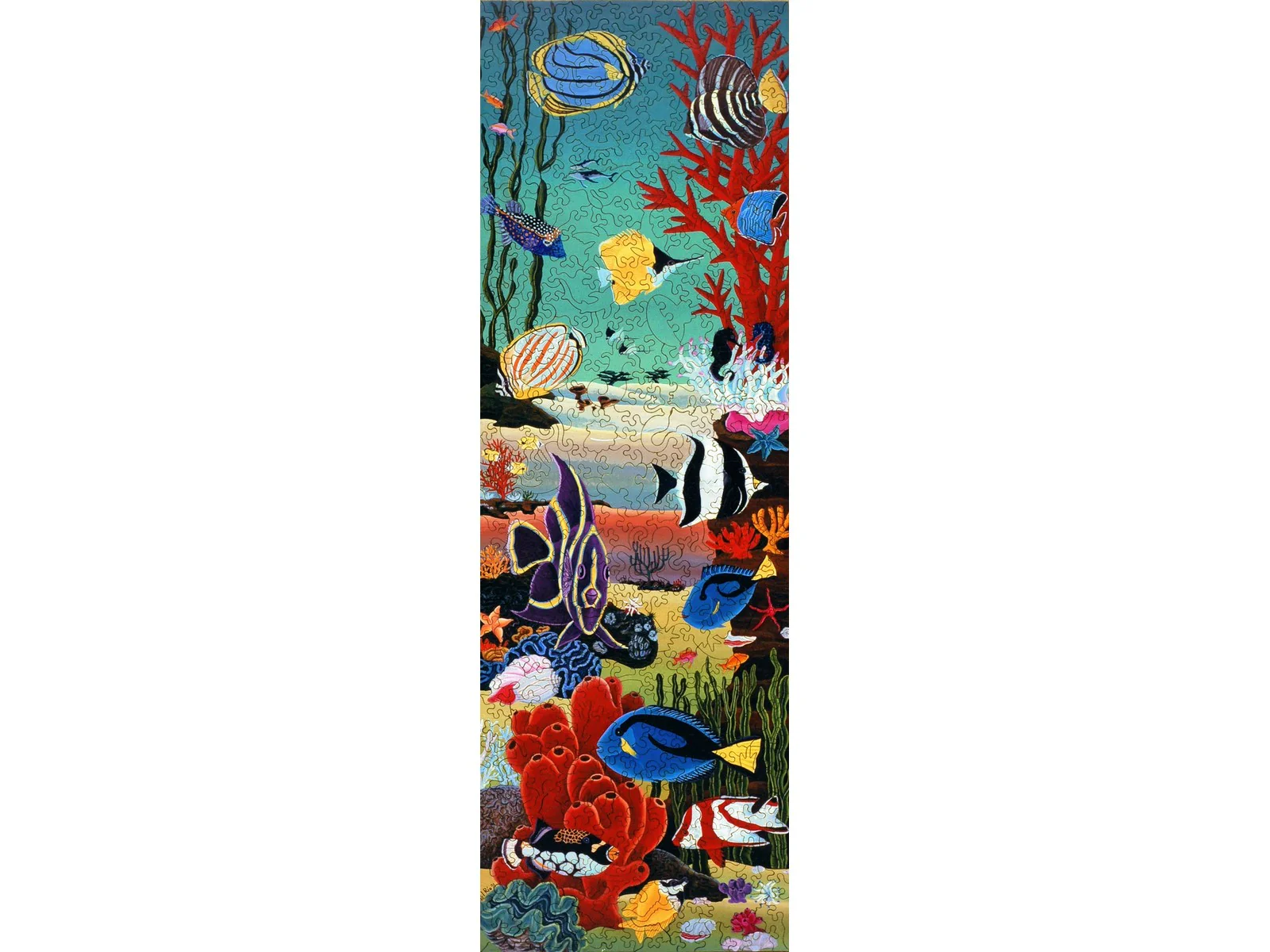 Coral Reef
