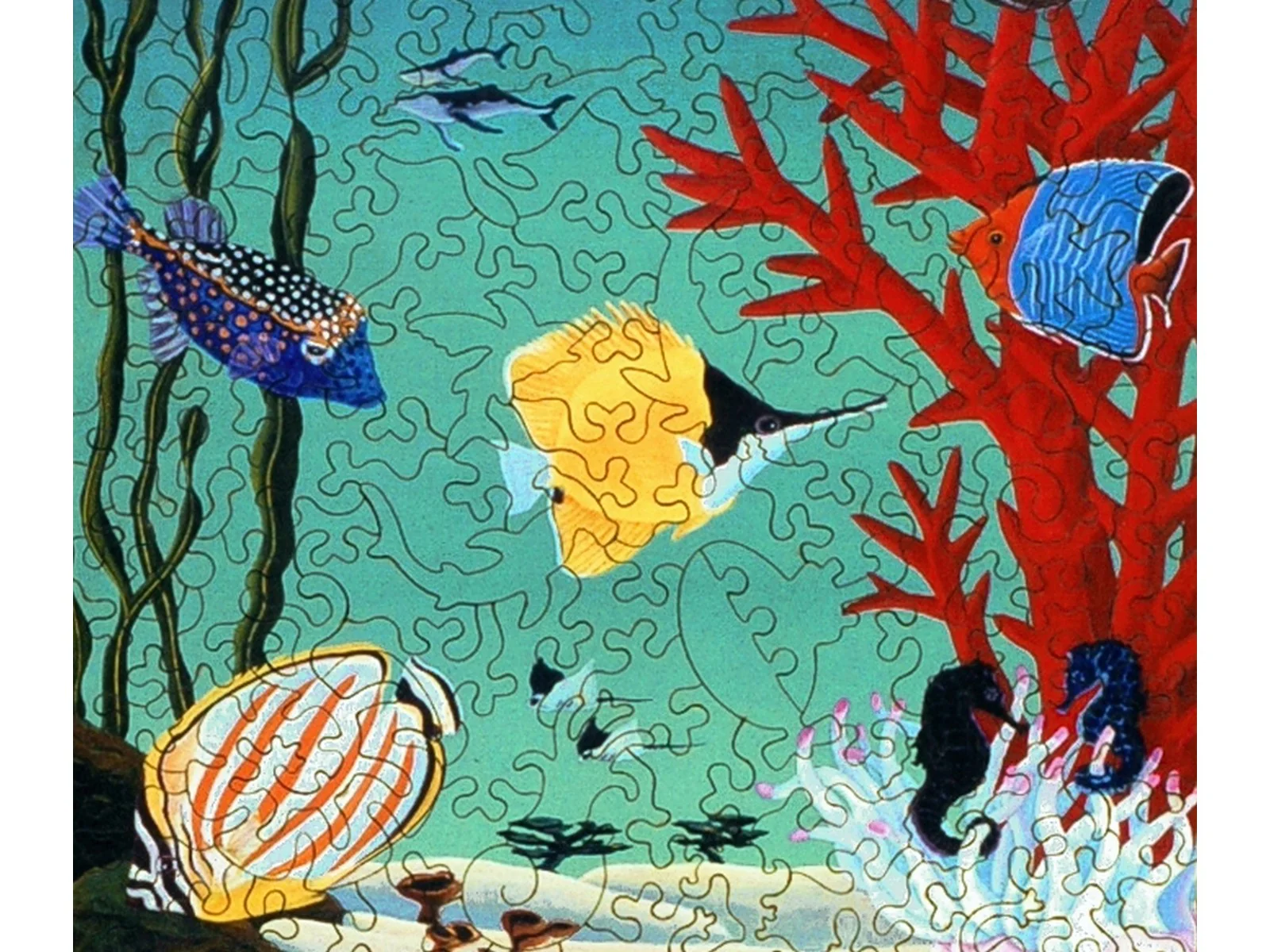Coral Reef - Image 2