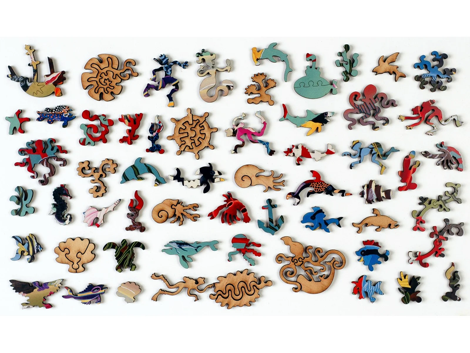 Coral Reef - Image 4