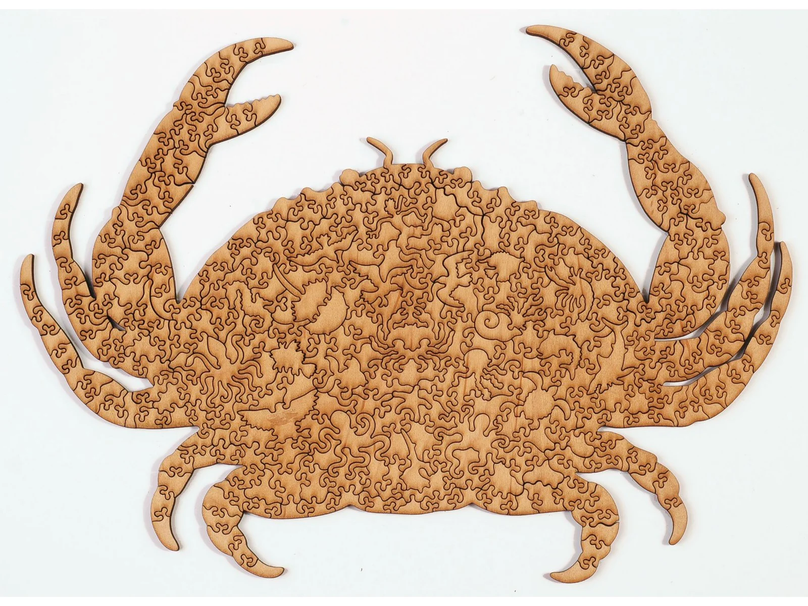 Crab - Image 3