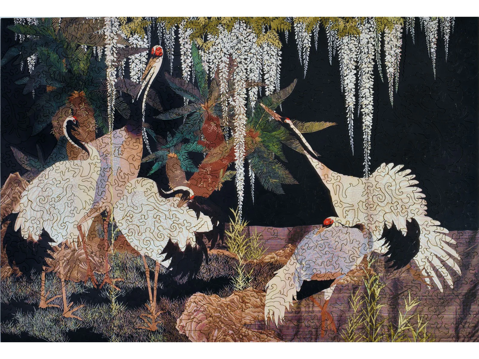 Cranes, Cycads and Wisteria
