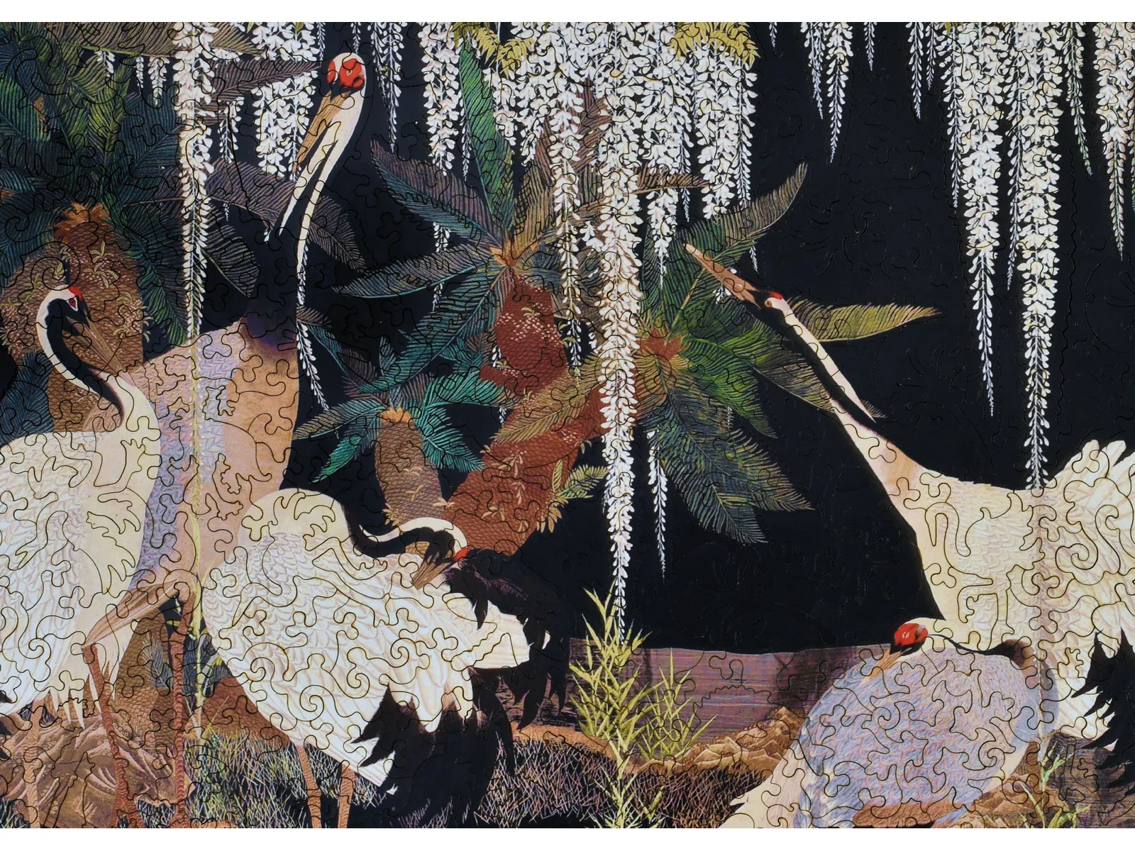 Cranes, Cycads and Wisteria - Image 2