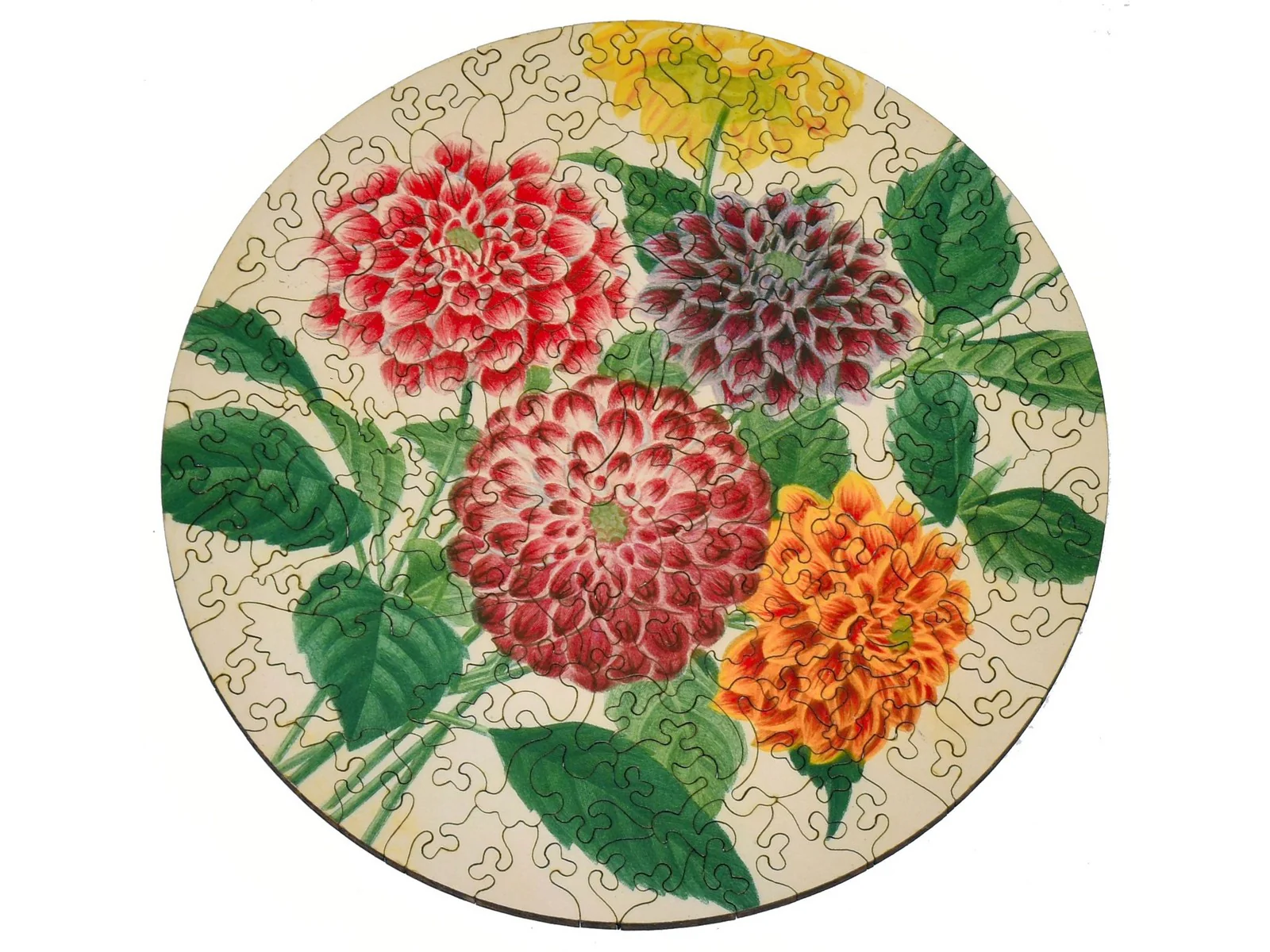 Dahlias