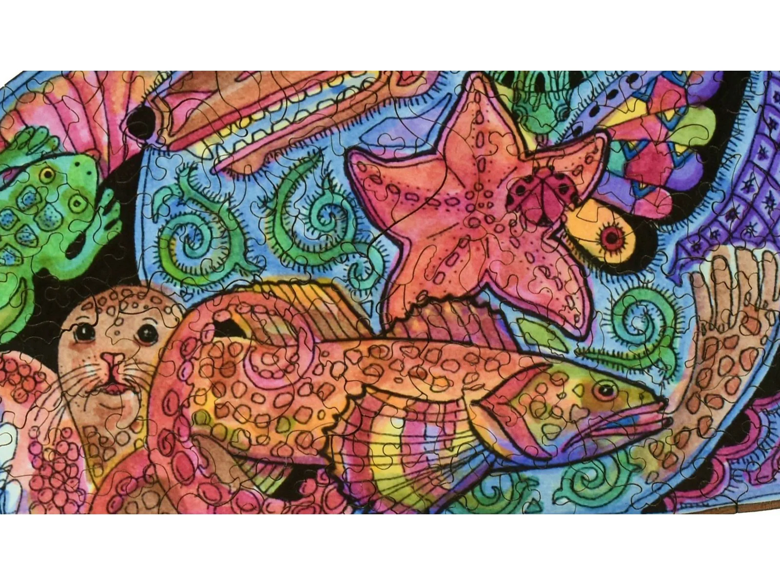 Dolphin - Image 2