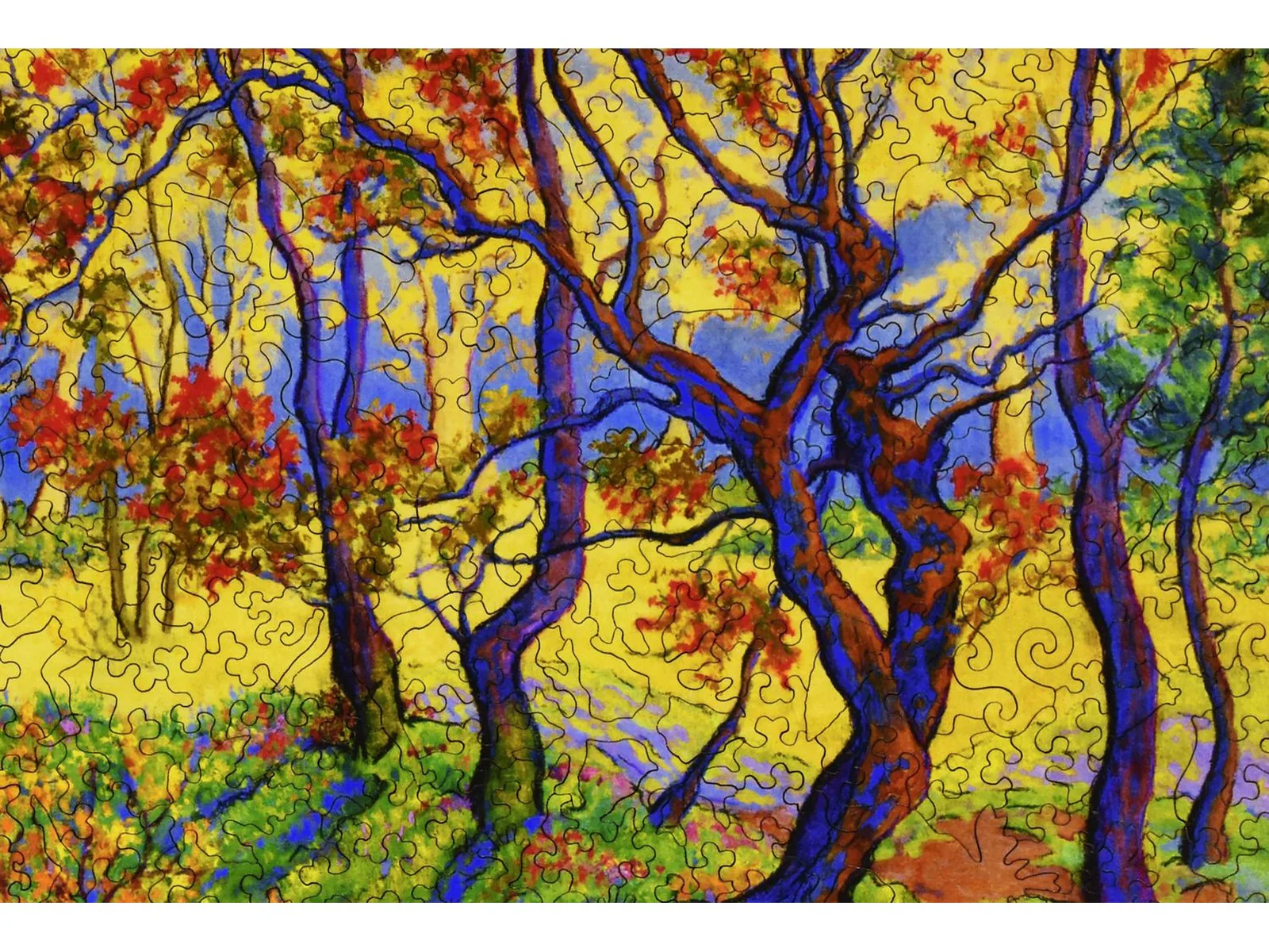 Edge of the Forest - Image 2