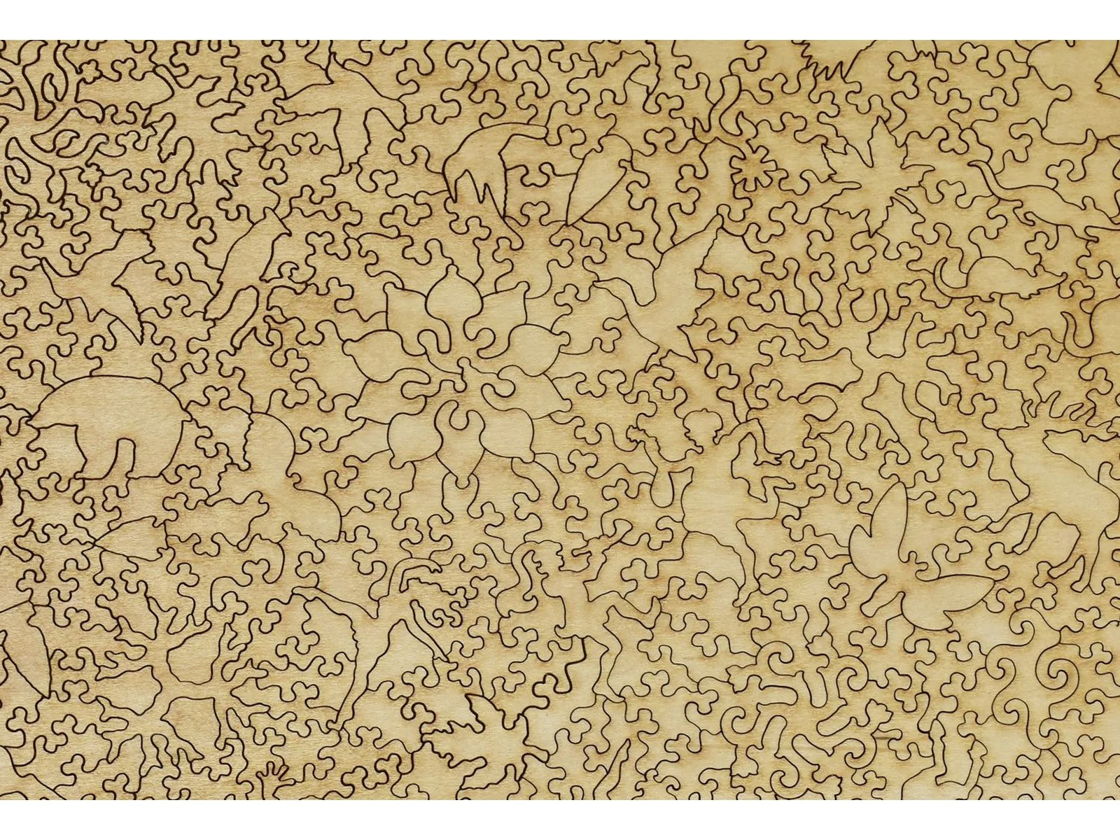 Edge of the Forest - Image 3