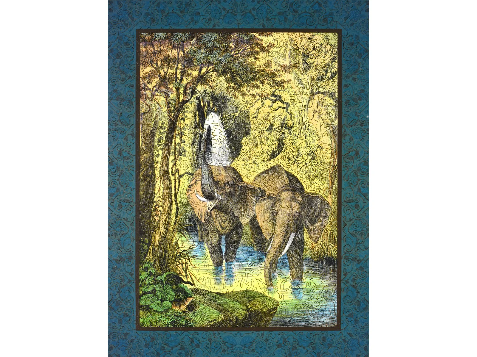 Elephant Pool